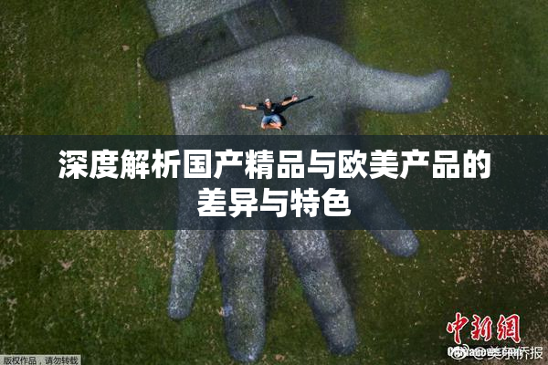 深度解析国产精品与欧美产品的差异与特色