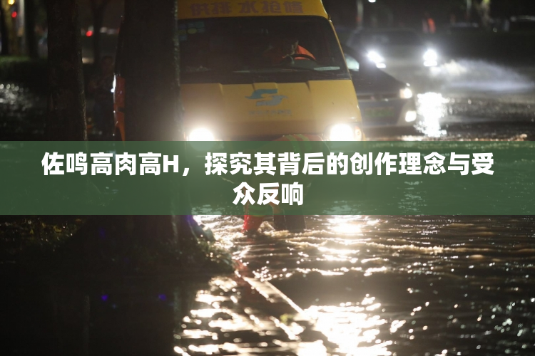 佐鸣高肉高H，探究其背后的创作理念与受众反响