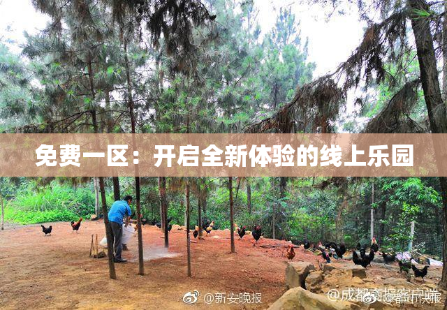 免费一区：开启全新体验的线上乐园