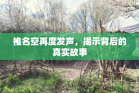 椎名空再度发声，揭示背后的真实故事