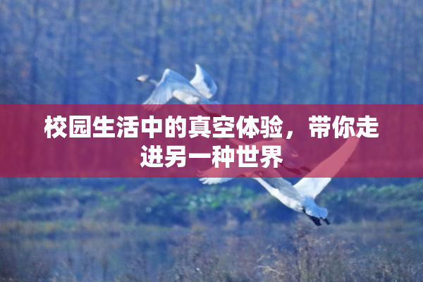 校园生活中的真空体验，带你走进另一种世界
