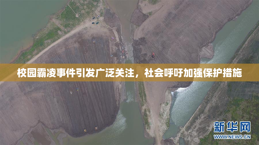 校园霸凌事件引发广泛关注，社会呼吁加强保护措施