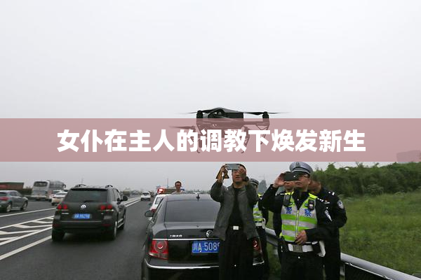 女仆在主人的调教下焕发新生