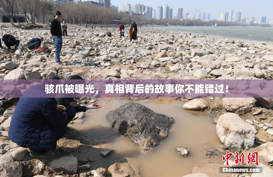 骇爪被曝光，真相背后的故事你不能错过！