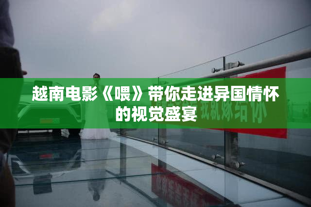越南电影《喂》带你走进异国情怀的视觉盛宴