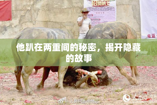他趴在两重间的秘密，揭开隐藏的故事
