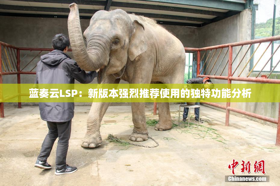 蓝奏云LSP：新版本强烈推荐使用的独特功能分析
