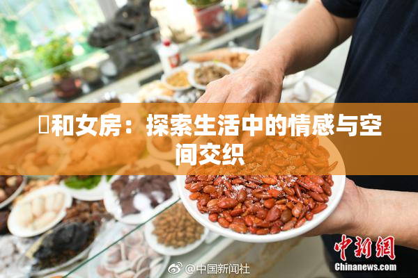 巜和女房：探索生活中的情感与空间交织