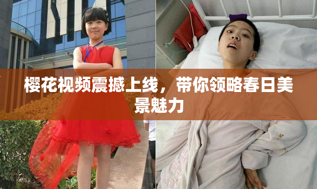 樱花视频震撼上线，带你领略春日美景魅力