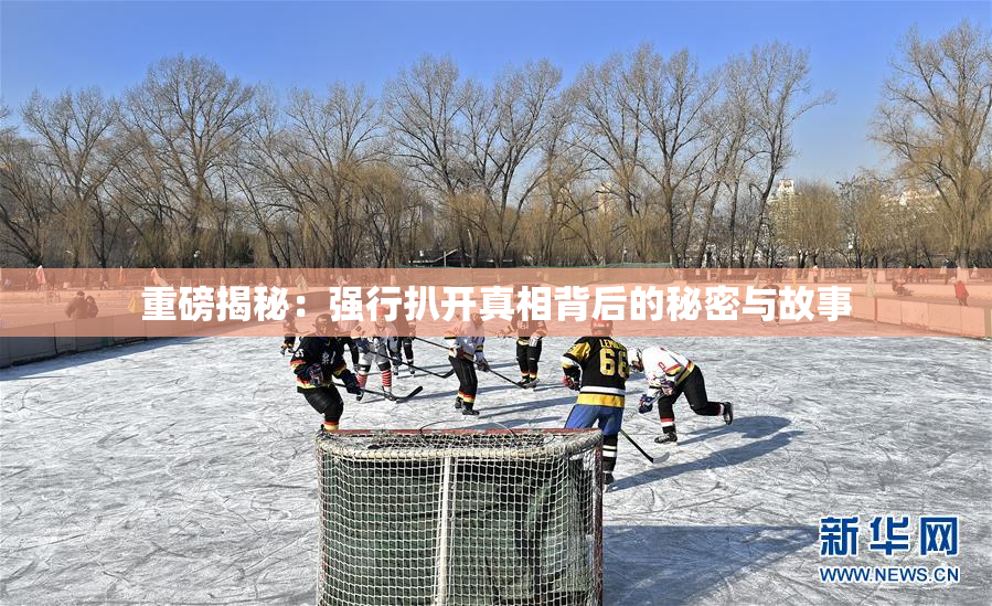 重磅揭秘：强行扒开真相背后的秘密与故事