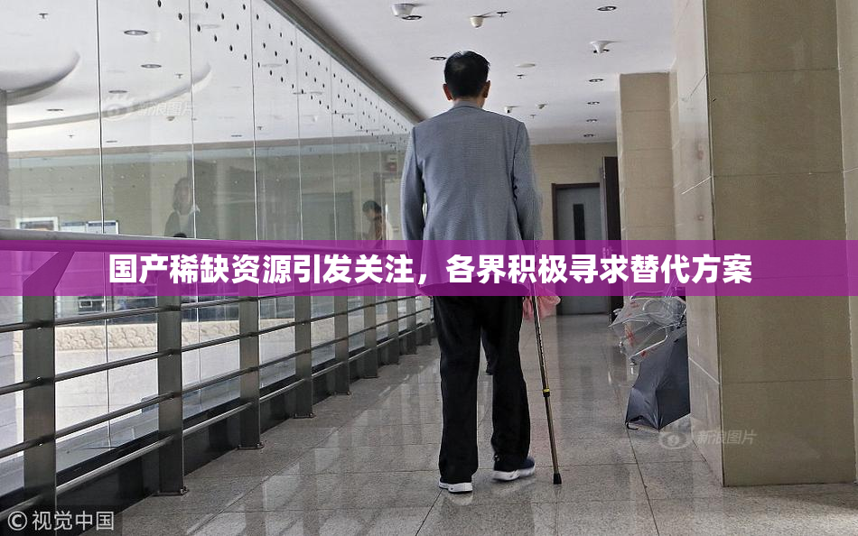 国产稀缺资源引发关注，各界积极寻求替代方案