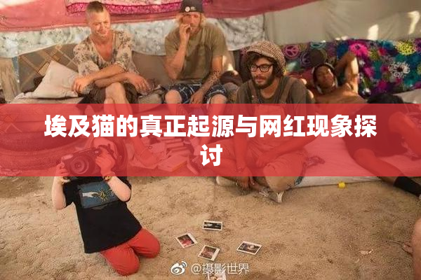 埃及猫的真正起源与网红现象探讨