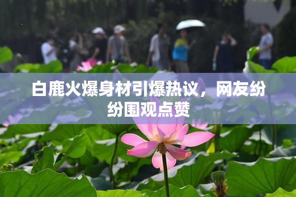 白鹿火爆身材引爆热议，网友纷纷围观点赞