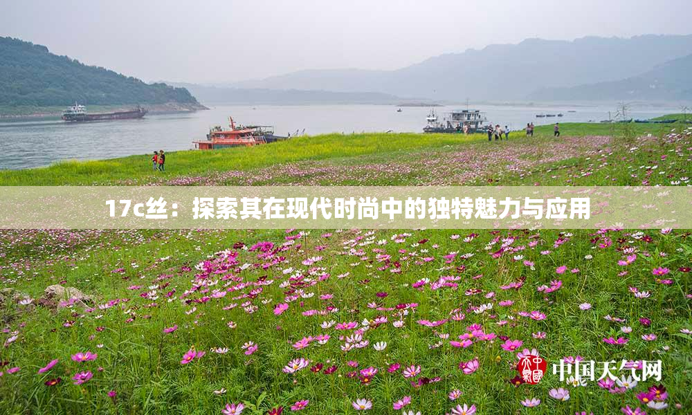 17c丝：探索其在现代时尚中的独特魅力与应用