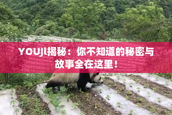 YOUJl揭秘：你不知道的秘密与故事全在这里！