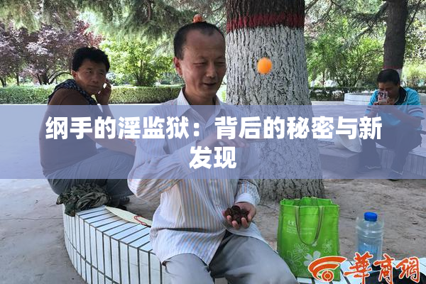 纲手的淫监狱：背后的秘密与新发现