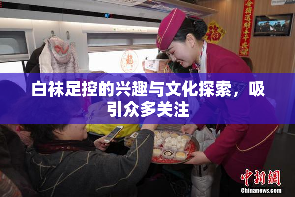 白袜足控的兴趣与文化探索，吸引众多关注