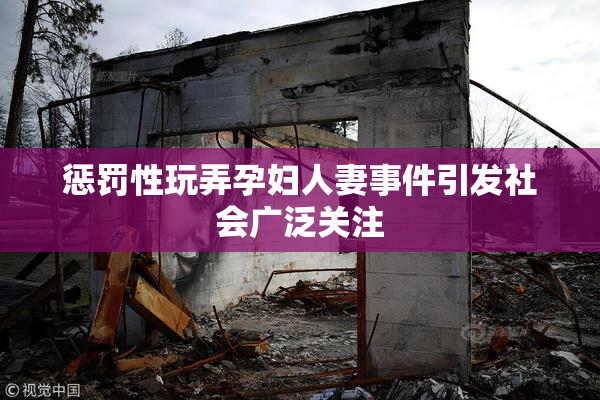 惩罚性玩弄孕妇人妻事件引发社会广泛关注