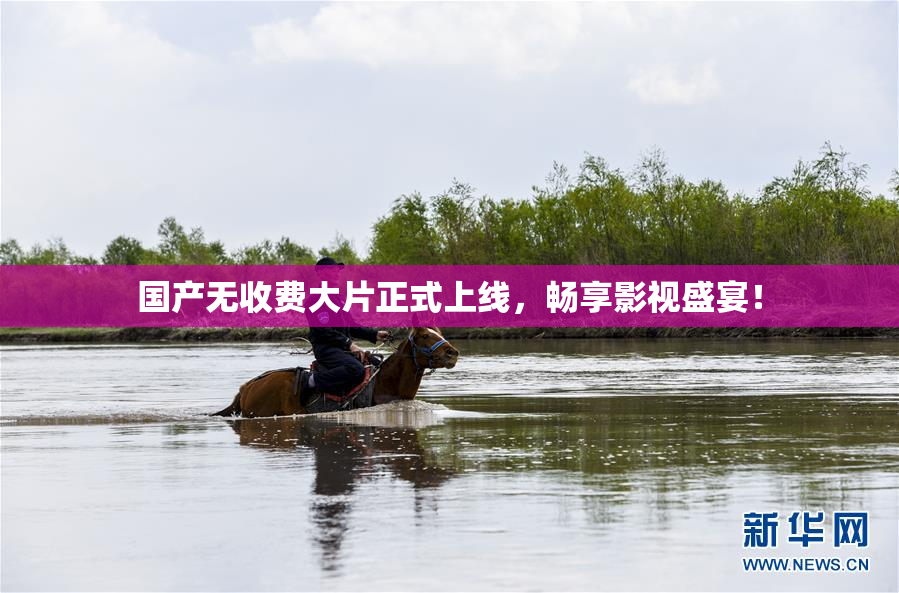 国产无收费大片正式上线，畅享影视盛宴！