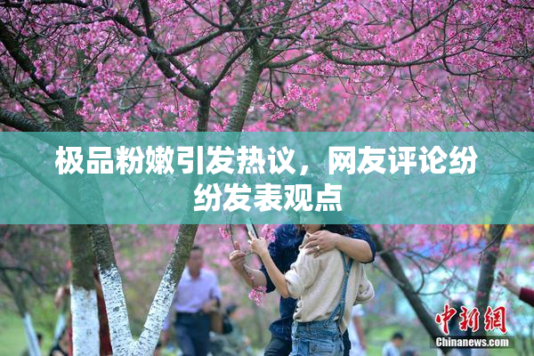 极品粉嫩引发热议，网友评论纷纷发表观点