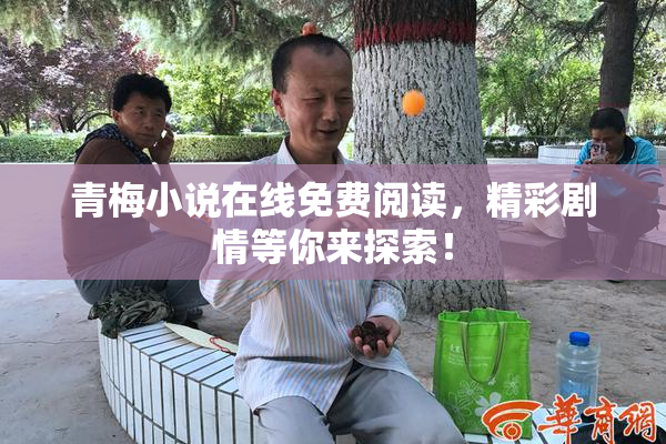 青梅小说在线免费阅读，精彩剧情等你来探索！