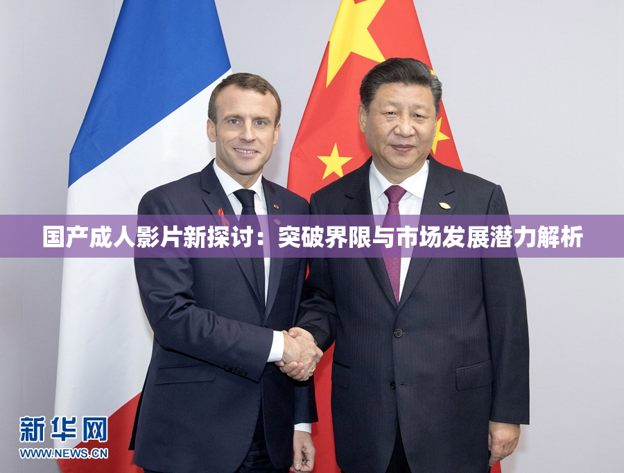 国产成人影片新探讨：突破界限与市场发展潜力解析