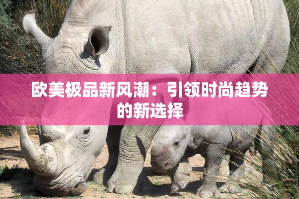 欧美极品新风潮：引领时尚趋势的新选择