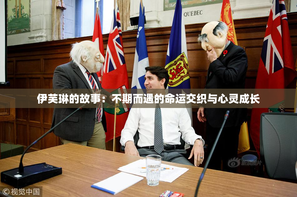 伊芙琳的故事：不期而遇的命运交织与心灵成长