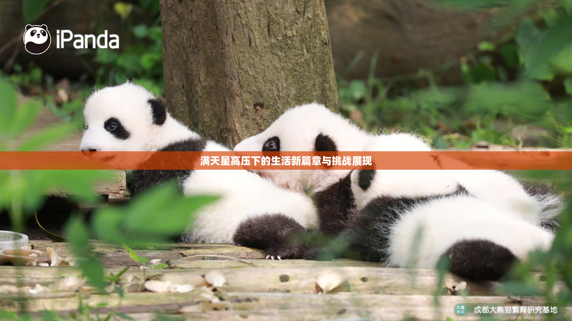 满天星高压下的生活新篇章与挑战展现