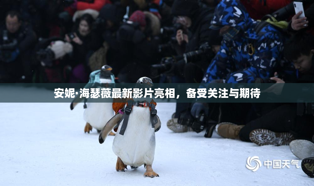 安妮·海瑟薇最新影片亮相，备受关注与期待