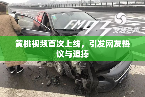 黄桃视频首次上线，引发网友热议与追捧