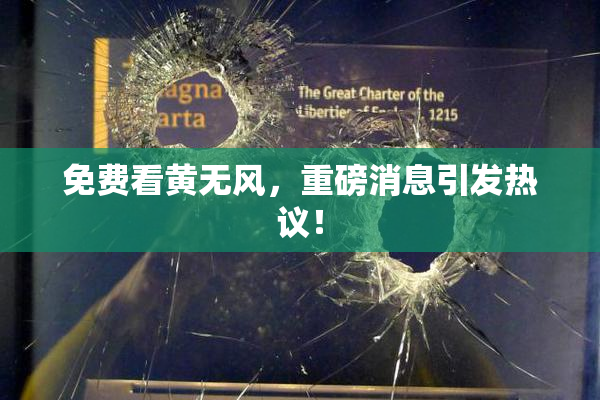 免费看黄无风，重磅消息引发热议！