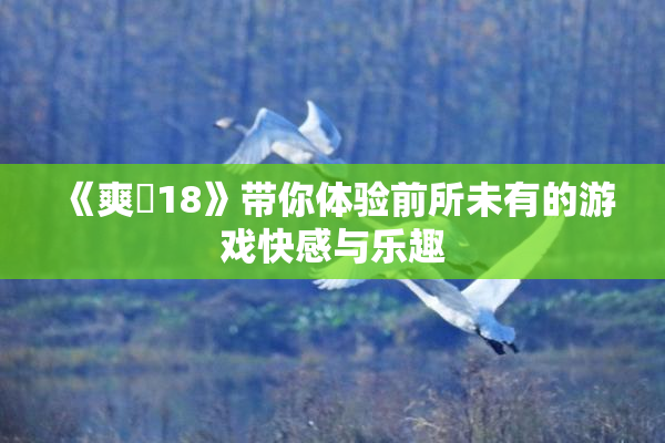 《爽擼18》带你体验前所未有的游戏快感与乐趣