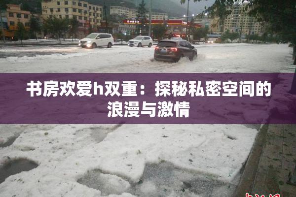 书房欢爱h双重：探秘私密空间的浪漫与激情