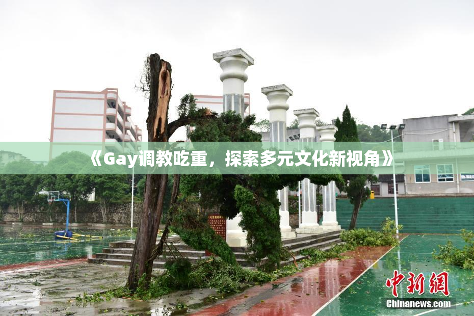 《Gay调教吃重，探索多元文化新视角》