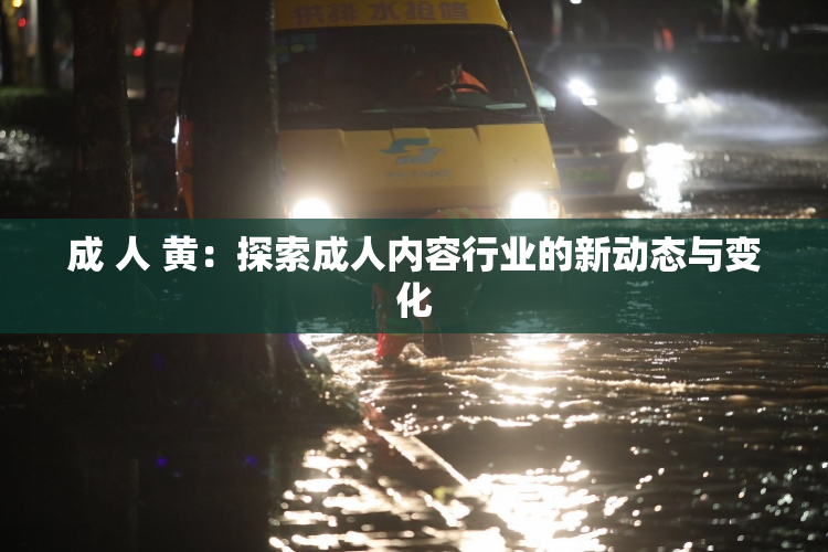 成 人 黄：探索成人内容行业的新动态与变化