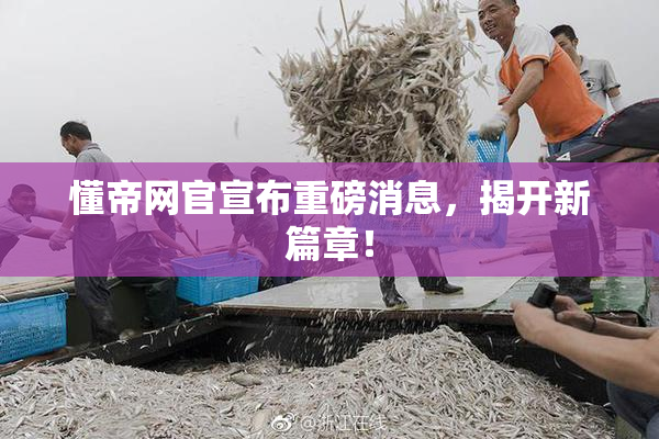 懂帝网官宣布重磅消息，揭开新篇章！