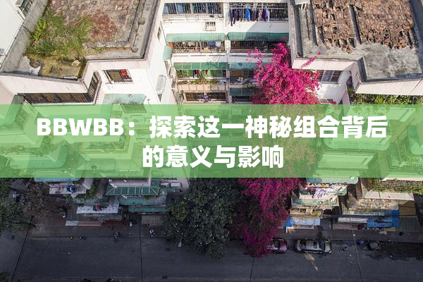 BBWBB：探索这一神秘组合背后的意义与影响