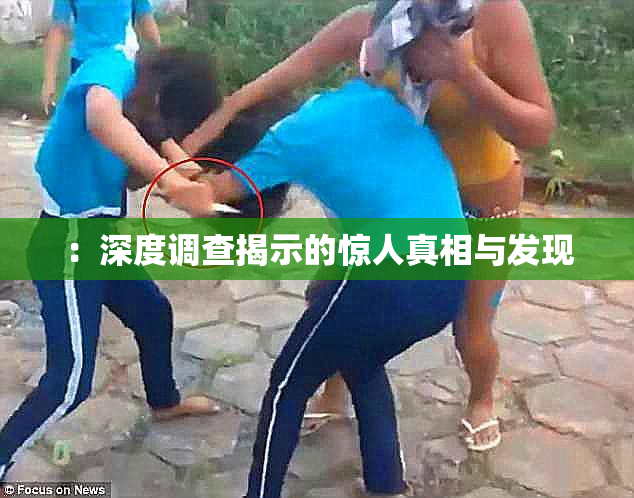 ：深度调查揭示的惊人真相与发现