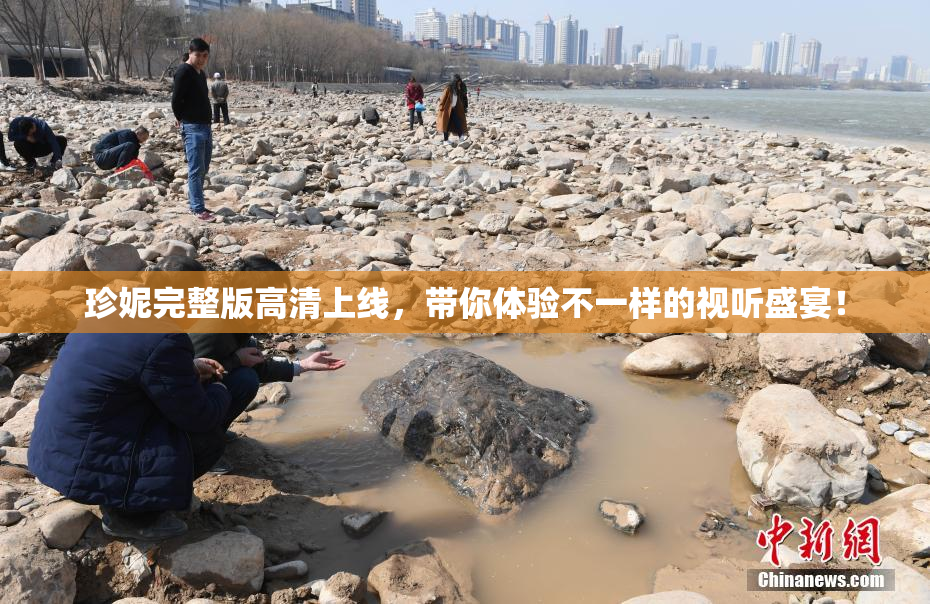 珍妮完整版高清上线，带你体验不一样的视听盛宴！