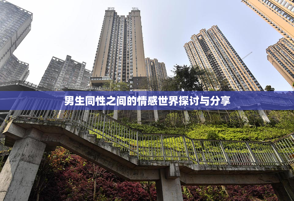 男生同性之间的情感世界探讨与分享