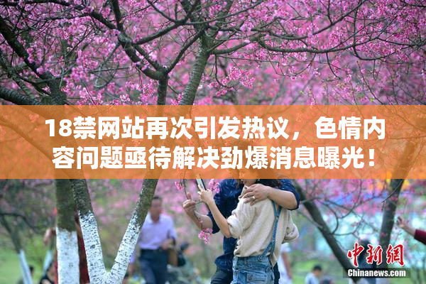18禁网站再次引发热议，色情内容问题亟待解决劲爆消息曝光！