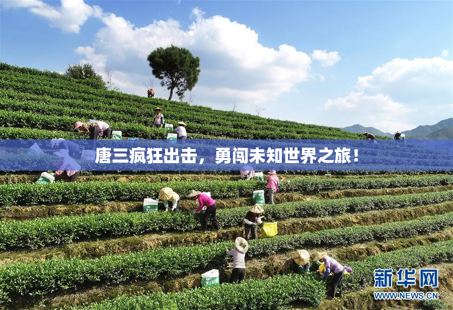 唐三疯狂出击，勇闯未知世界之旅！