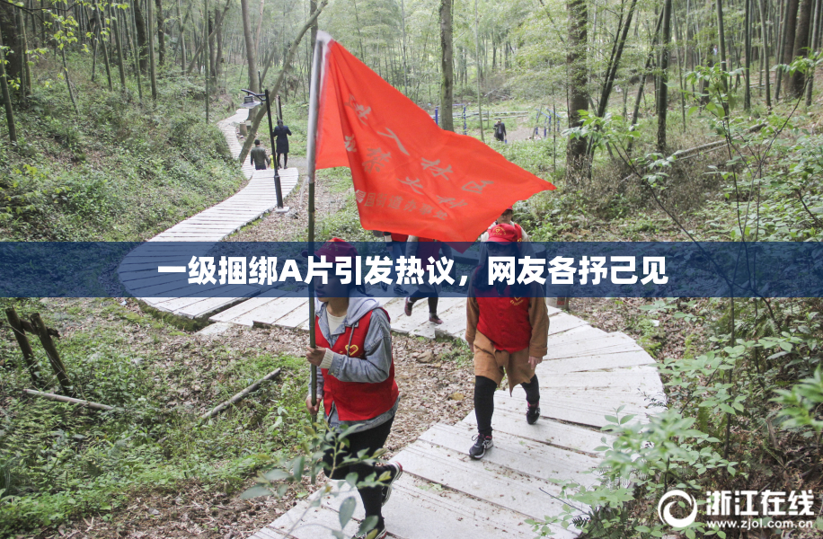 一级捆绑A片引发热议，网友各抒己见