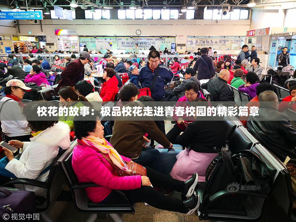 校花的故事：极品校花走进青春校园的精彩篇章