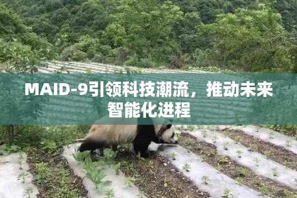 MAID-9引领科技潮流，推动未来智能化进程