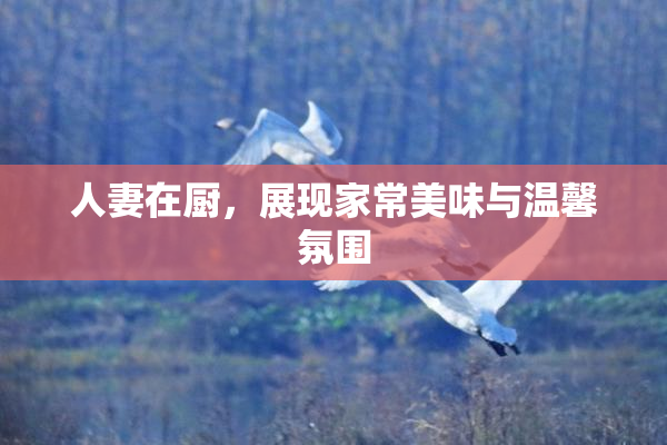 人妻在厨，展现家常美味与温馨氛围