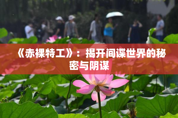 《赤裸特工》：揭开间谍世界的秘密与阴谋