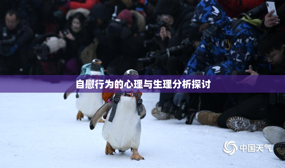 自慰行为的心理与生理分析探讨
