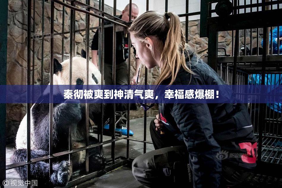 秦彻被爽到神清气爽，幸福感爆棚！